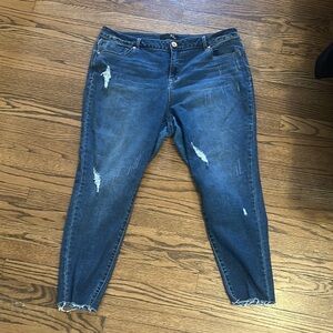 1822 Denim Blue Skinny Jeans with Distressed Details